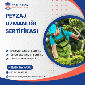 Peyzaj Uzmanlığı Sertifikası