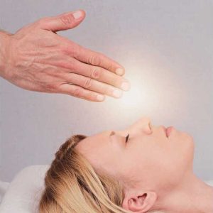 Bioenerji Eğitimi Sertifikası