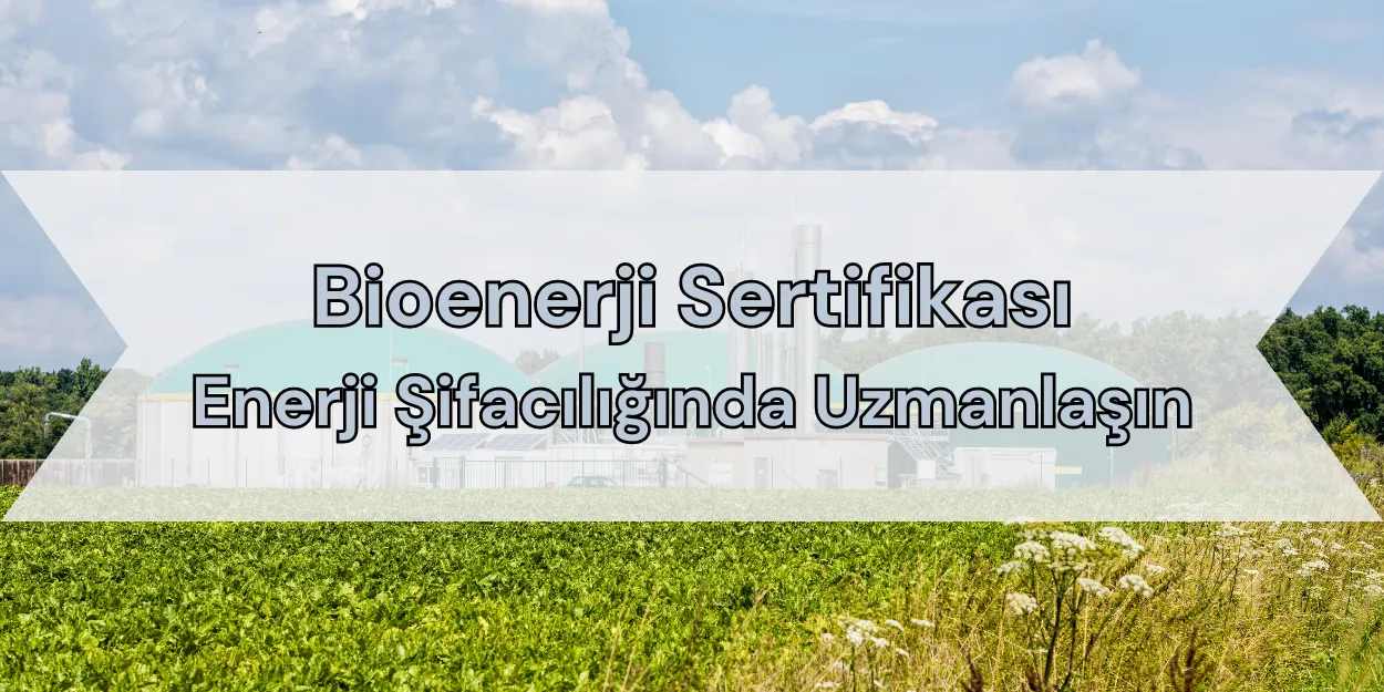 Bioenerji Sertifikası Enerji Şifacılığında Uzmanlaşın