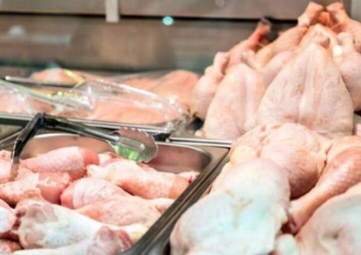 Tavukçu Dükkanı Açmak İçin Gerekli Belgeler