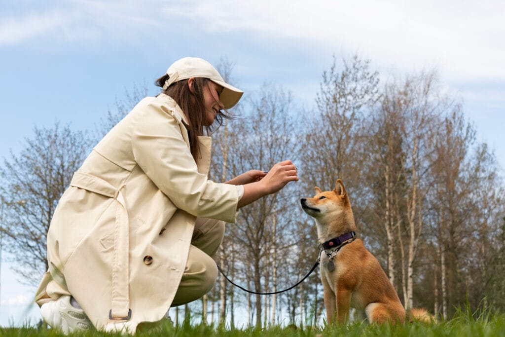 Köpek Eğitmenliği Kursu