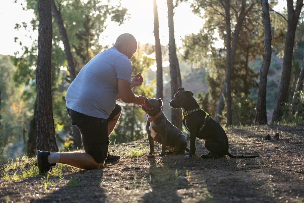 Köpek Eğitmenliği Kursu