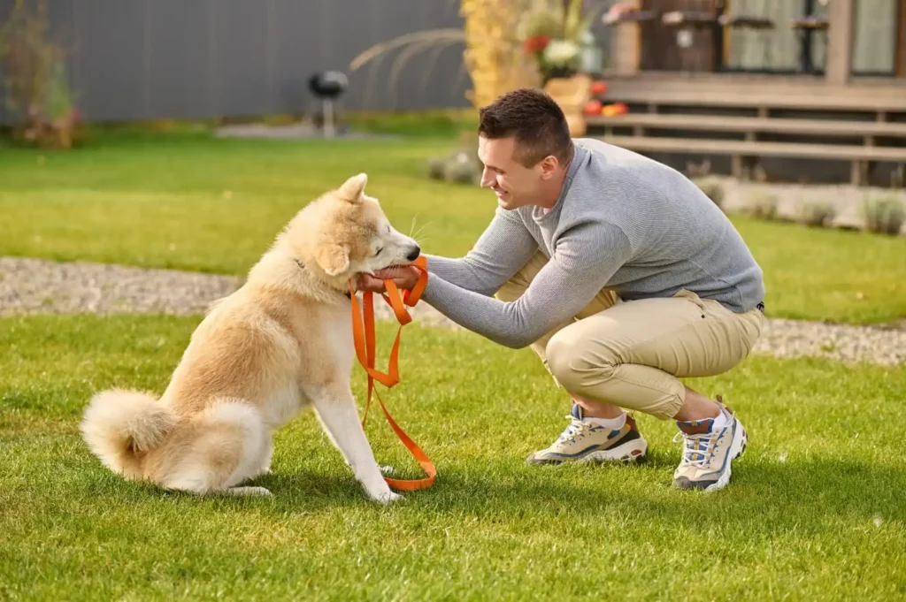 Köpek Eğitmeni Nasıl Olunur