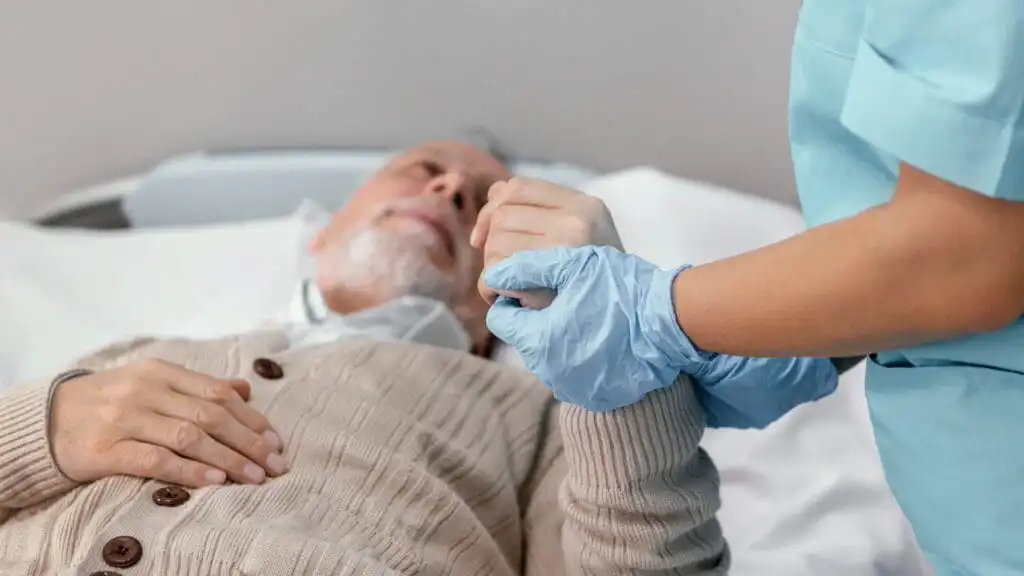 560 Saat Hasta Yaşlı Bakım Sertifikası Nereden Alınır