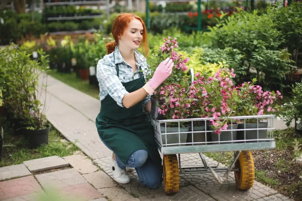 Organik Tarım Belgesi Nasıl Alınır
