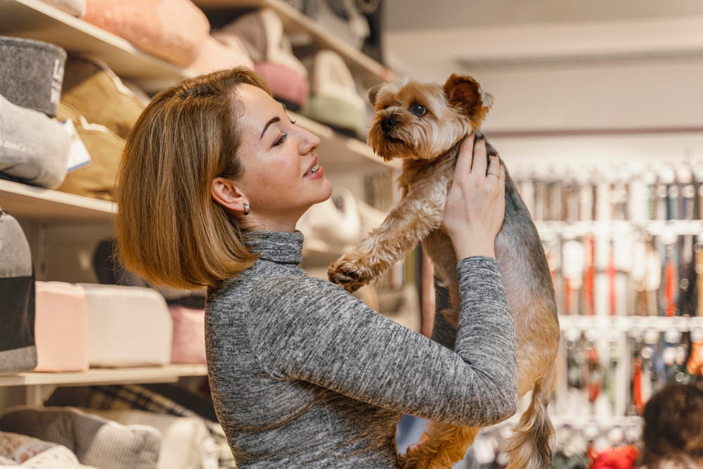 Pet Shop Belgesi Nereden Alınır?